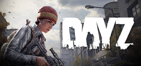DayZ辅助